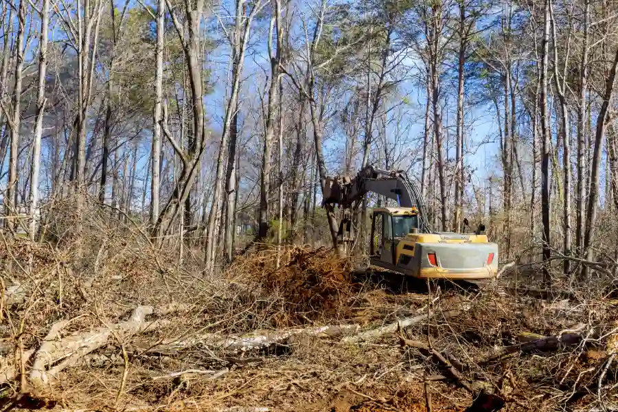 Forestry Mulching Techniques For Residential Properties in Wetumpka, AL Forestry Mulching Techniques For Residential Properties in Wetumpka, AL