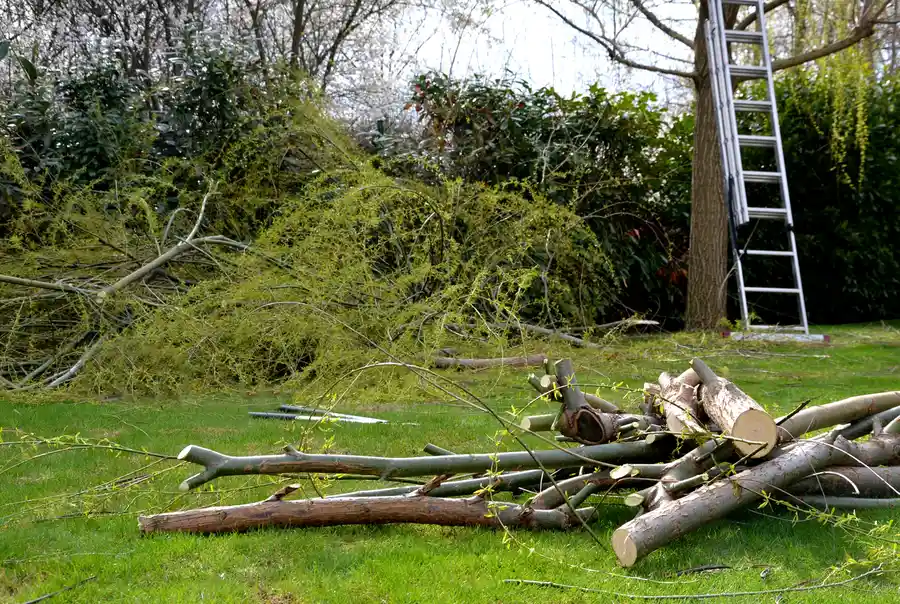 How Land Clearing Prepares Property For Fence Installation in Wetumpka, AL How Land Clearing Prepares Property For Fence Installation in Wetumpka, AL